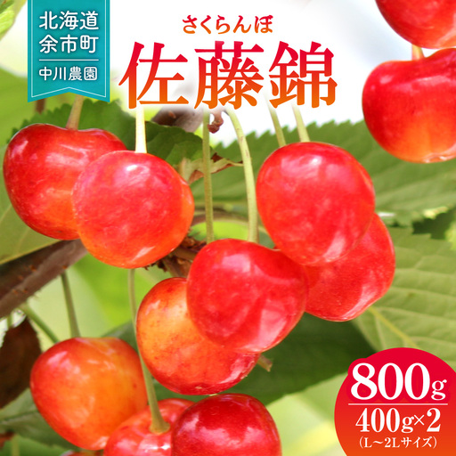 2027年発送【先行予約】令和9年産 さくらんぼ 佐藤錦【L～2Lサイズ】400g×2 【合同会社中川農園】_Y141-0004