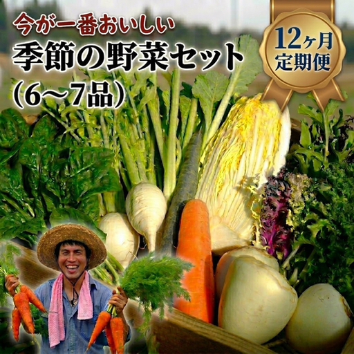 【定期便12回】季節の野菜セット（6～7品）