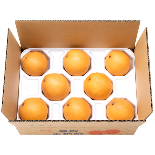 【期間限定】たにがみ農園の王秋 5キロ箱　(鳥取県産)