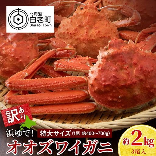 [7営業日以内発送]訳あり オオズワイガニオス 特大サイズ (約400-700g) 浜ゆで 2kg (3尾入)