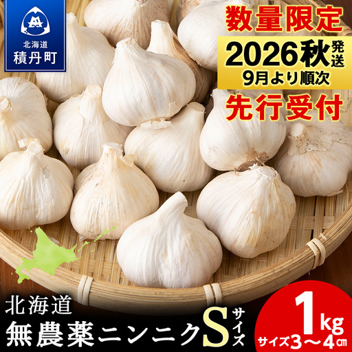 [数量限定]予約受付 無農薬ニンニク“Sサイズ"1kg(500g×2袋) 無農薬 にんにくガーリック