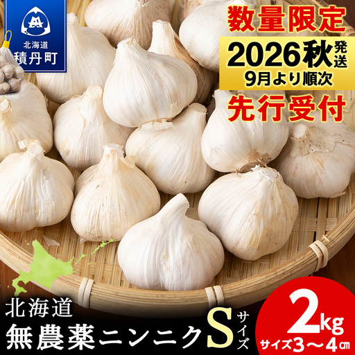 【数量限定】予約受付　無農薬ニンニク“Sサイズ”2kg（500g×4袋） 無農薬 にんにくガーリック