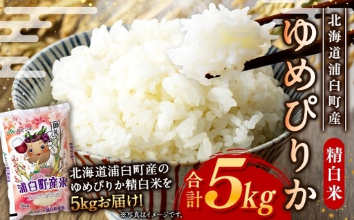 [ 令和8年産 ] 浦臼産ゆめぴりか 精白米 5kg × 1袋 お米 米 こめ コメ 白米 白飯 飯 ご飯 おにぎり 国産 北海道産 ブランド米 ブランド 粘り タンパク質 艶 [ 2026年10月下旬より順次発送 ]