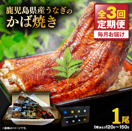 [ 全3回 定期便 ] 鹿児島県産 うなぎ の かば焼き 1尾 KN174-T01 定期 ウナギ 鰻 蒲焼き 冷凍