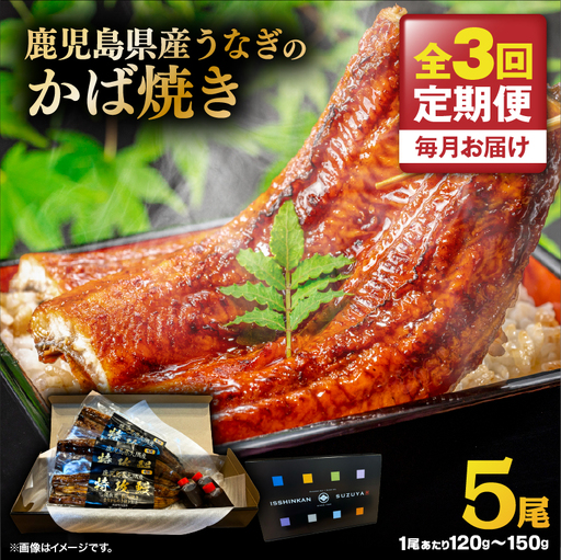【 全3回 定期便 】 鹿児島県産 うなぎ の かば焼き 5尾 KN174-T05 定期 ウナギ 鰻 蒲焼き 冷凍
