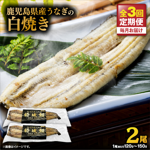 【 全3回 定期便 】 鹿児島県産 うなぎ の 白焼き 2尾 KN174-T07 定期 ウナギ 鰻 冷凍