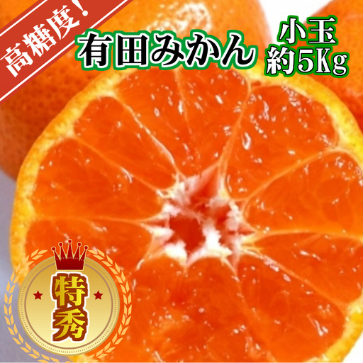 [先行予約][特秀品]有田みかん 和歌山県産 約5kg(小玉 S〜Mサイズ混合)