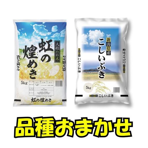 【8月上旬配送】 新潟県産 品種おまかせ 5kg 新潟県 新潟市産 令和7年産 お米 精米 米 ご飯 送料無料