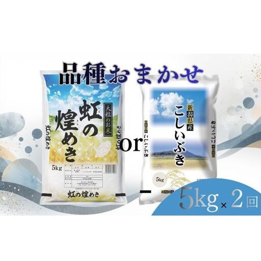 【8月上旬より配送】 新潟県産 品種おまかせ 5kg  2か月定期便 新潟県 新潟市産 令和7年産 お米 精米 米 ご飯 送料無料