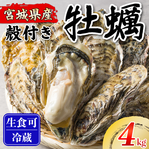 松島牡蠣屋 殻付き牡蠣（生食用） 4kg  生牡蠣 宮城県産 牡蛎 牡蠣 カキ オイスター カキフライ 牡蠣鍋 海鮮 国産 魚貝類 【菊地水産合同会社】tm746