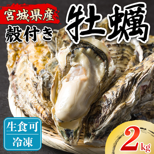 松島牡蠣屋 冷凍牡蠣（生食用） 2kg 宮城県産 牡蛎 牡蠣 カキ オイスター カキフライ 牡蠣鍋 海鮮 国産 魚貝類 急速冷凍 【菊地水産合同会社】tm750
