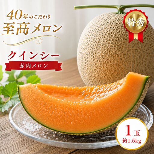 [2027年 先行予約]クインシー 1玉(約1.5kg) | 完熟 果物 メロン