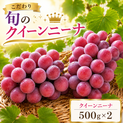 美浜町産 こだわりクイーンニーナ 500g×2 | 先行予約 ぶどう 愛知県 美浜町