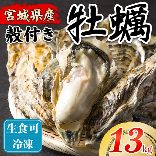 松島牡蠣屋 冷凍牡蠣(生食用) 13kg 宮城県産 牡蛎 牡蠣 カキ オイスター カキフライ 牡蠣鍋 海鮮 国産 魚貝類 急速冷凍 [菊地水産合同会社]tm753