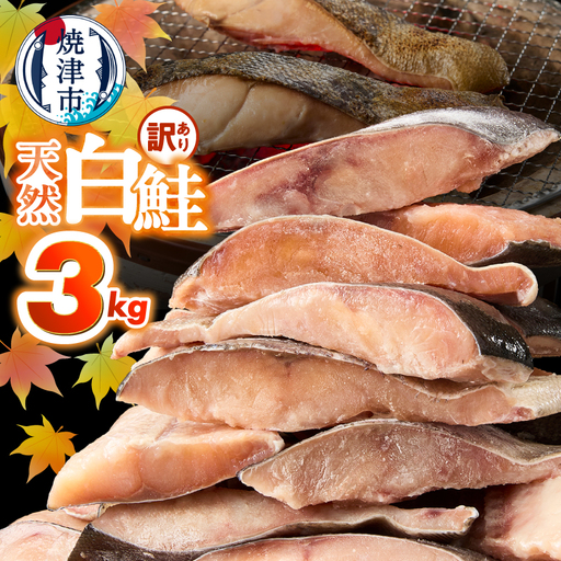 訳あり！ 天然 白鮭 甘口 切身 約3kg 便利なジッパーバック入り (a20-488)