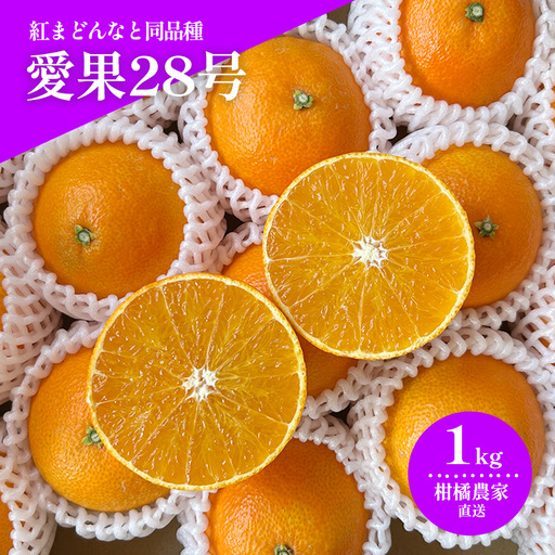 【2026年11月下旬頃から順次発送】  愛果28号（紅まどんなと同品種） 約1.0kg ｜みかん 愛果 蜜柑 松山市産みかん 柑橘 ミカン 蜜柑 みかん 果物 オススメみかん フルーツ あいか みかん あまい 甘い おいしい 美味しい うまい 酸味  松山 愛媛  【HMN021】