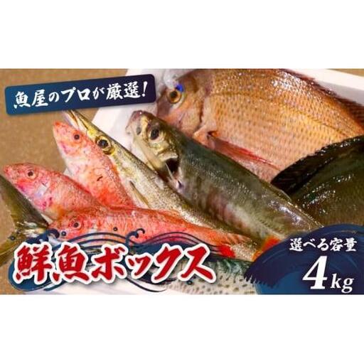 [魚屋のプロが厳選!] 鮮魚 BOX 4kg 鮮魚