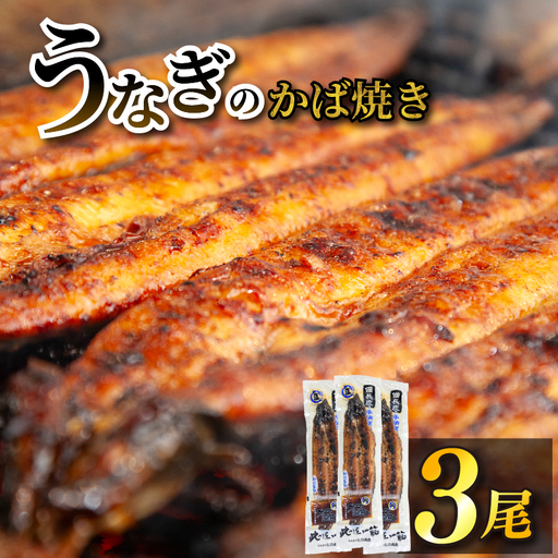 [江口商店]備長炭鰻蒲焼3尾 うなぎ YKM003 魚 鰻