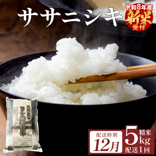 [12月配送] [先行予約] 米 令和8年産 ササニシキ 精米 5kg 単品 新米 こめ コメ お米 ご飯 白米 ささにしき