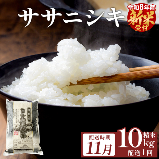 [11月配送] [先行予約] 令和8年産 ササニシキ 精米 10kg(5kg×2)単品 新米