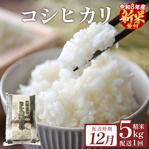 [12月配送] [先行予約] 米 令和8年産 コシヒカリ 精米 5kg 単品 新米 こめ コメ お米 ご飯 白米 こしひかり