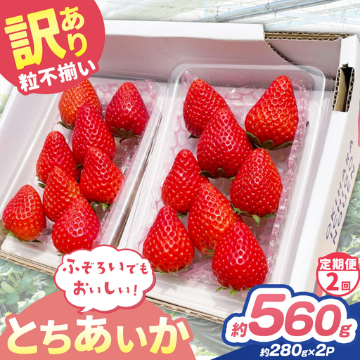 [定期便2回]訳あり 粒不揃い とちあいか 560g (280g×2P) | 栃木県 矢板市 澳原いちご農園