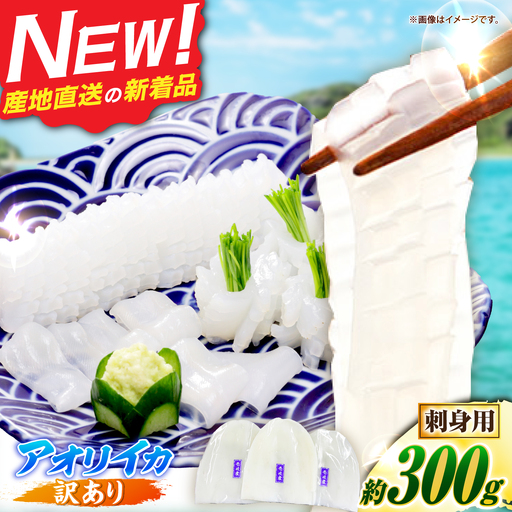 [訳あり]アオリイカ 300g JCC027 イカ