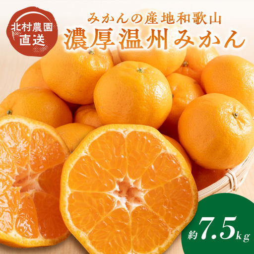【1168-2】みかんの産地和歌山の農園直送北村農園の天田みかん7.5kg
