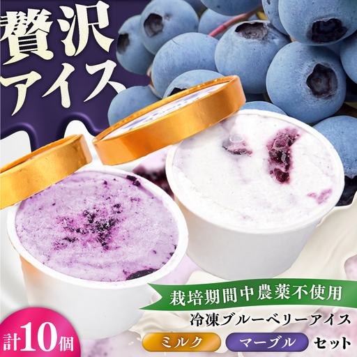 冷凍ブルーベリーアイス(ブルーベリーミルク、マーブル 各5個) 計10個セット / アイス あいす 氷菓子 フルーツ ブルーベリー ぶるーべりー マーブル デザート おやつ お菓子 カップ カップアイス 夏 ひんやり 熊本県 冷凍 菊陽町【アグファーム株式会社】[BHCX020]