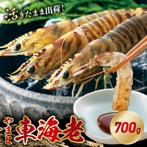 S010-084_活き車海老「やまと車海老」700g