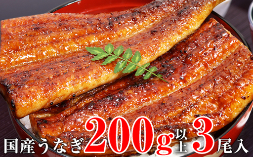 超特大国産うなぎ3本セット(1尾：200~229g)(B1175-1)