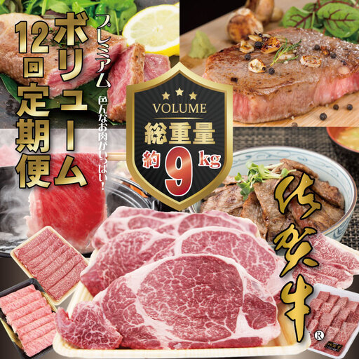 [定期便] (12ヶ月連続お届け) 佐賀牛ボリュームコース 定期便