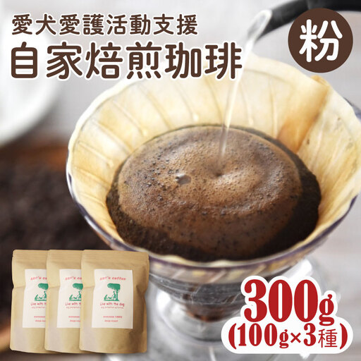 コーヒー豆 100gx3種 自家焙煎 コーヒー豆