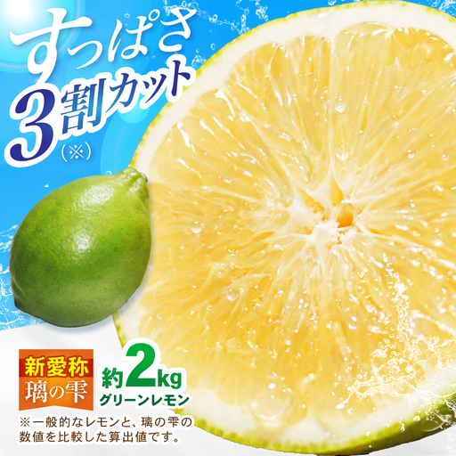 【先行予約 2026年10月〜発送】璃の雫 レモン 約2kg （6個〜8個程度）【道の駅しろいしカンパニー】[IAA043]