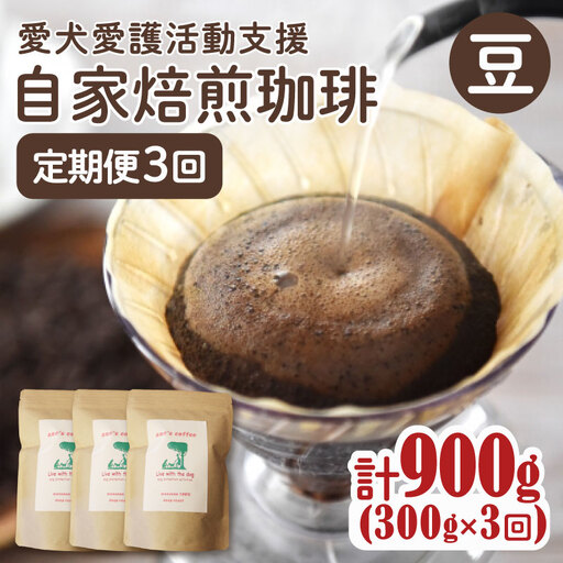 コーヒー豆 [定期便3か月] 100g×3種 コーヒー豆