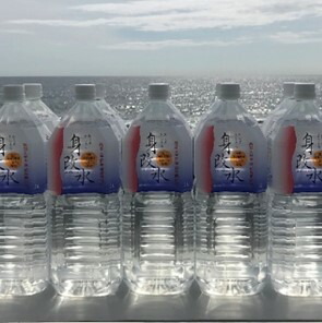 海のミネラルがいっぱいはいっちゅーぜよセット【２Ｌ×１０本】
