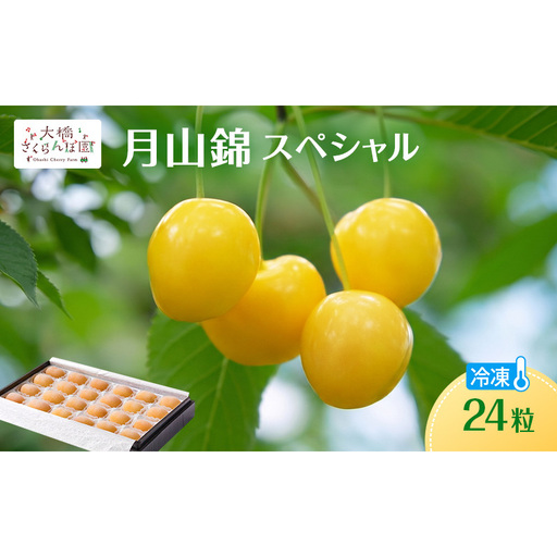 冷凍さくらんぼ 24粒 月山錦 冷凍 さくらんぼ
