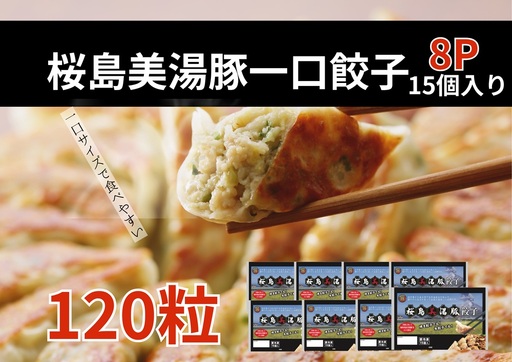 A1-0448／桜島美湯豚　ひと口餃子 8P（計120個）