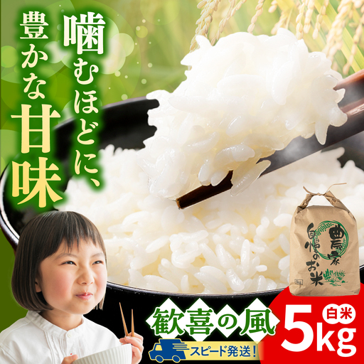 歓喜の風 白米 5kg 糸島市産 糸島市 / 糸島の恵み コメ こめ ご飯