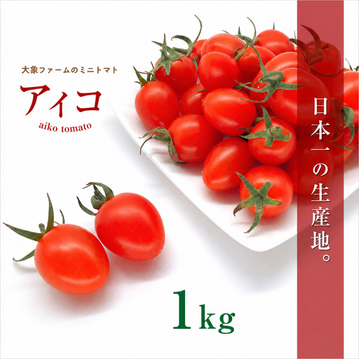『大家ファーム』の ミニトマト アイコ 1kg 熊本県玉名 | トマト ミニトマト 野菜 やさい アイコ 熊本県 玉名市