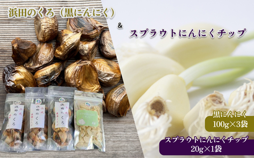 山陰 浜田のくろ&スプラウトにんにくチップ [212_0001]