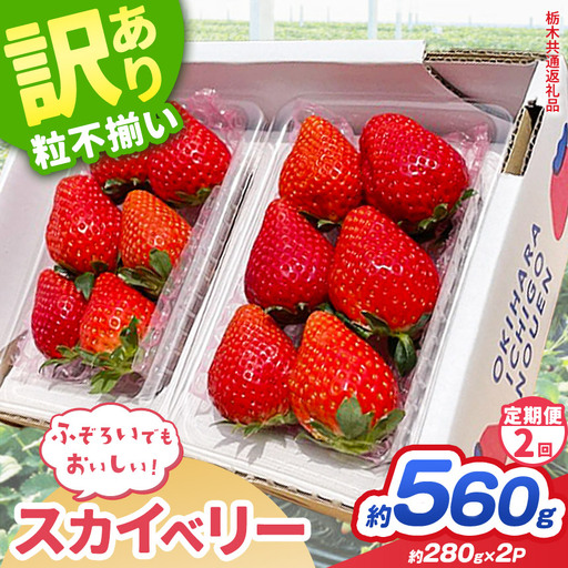 [先行予約][定期2回]訳あり スカイベリー いちご 約 280g × 2P|栃木県共通返礼品 栃木県 那珂川町 送料無料