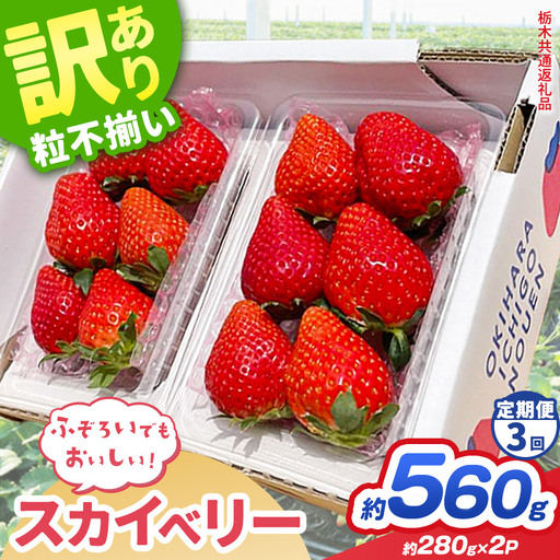 【先行予約】【定期3回】訳あり スカイベリー いちご 約 280g × 2P 栃木県共通返礼品