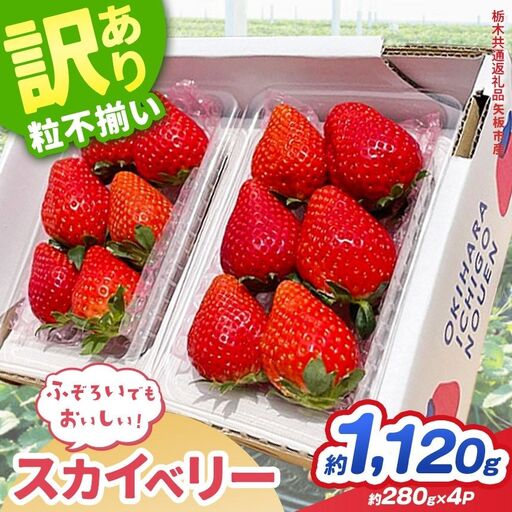 【先行予約】訳あり スカイベリー いちご 約 280g × 4P 栃木県共通返礼品
