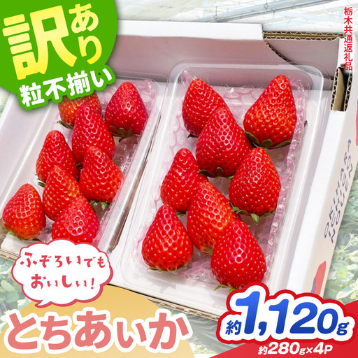 [先行予約]訳あり いちご とちあいか 約280g × 4P 栃木県共通返礼品
