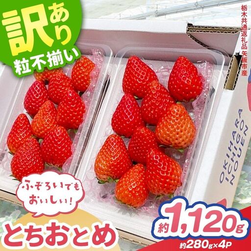 【先行予約】訳あり いちご とちおとめ 約 280g × 4P 栃木県共通返礼品