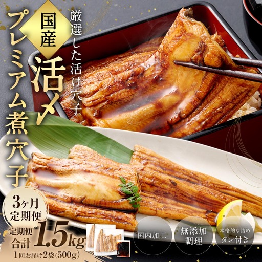 【 3ヶ月定期便 】 国産活〆 プレミアム煮穴子 500g （ 250g × 2袋 ） タレ （ 50g ） 付 魚 魚類 お魚 穴子 アナゴ あなご 魚料理 冷凍 保存料不使用 着色料不使用 添加物不使用