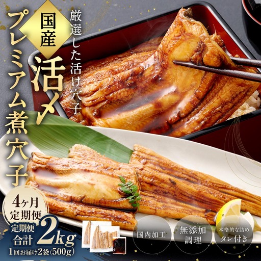 【 4ヶ月定期便 】 国産活〆 プレミアム煮穴子 500g （ 250g × 2袋 ） タレ （ 50g ） 付 魚 魚類 お魚 穴子 アナゴ あなご 魚料理 冷凍 保存料不使用 着色料不使用 添加物不使用