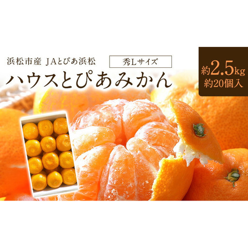 浜松市産 JAとぴあ浜松 ハウスとぴあみかん 秀Lサイズ 約2.5kg 約20個入り 糖度11度以上 みかん ミカン 静岡 浜松市