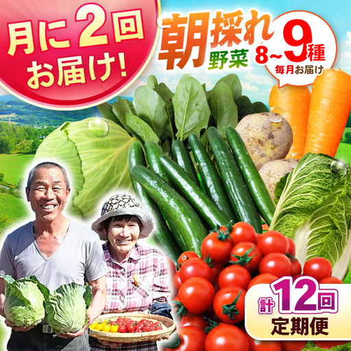 月2回お届け[12回定期便]諫早産 野菜の詰め合わせ 8・9品目程度 / 季節 旬 野菜 やさい 春野菜 夏野菜 秋野菜 野菜セット 詰め合わせ 野菜定期 野菜定期便 定期便 / 諫早市 / 肥前グローカル株式会社[AHDI014]